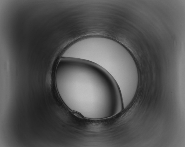 X0000095550252200712140941