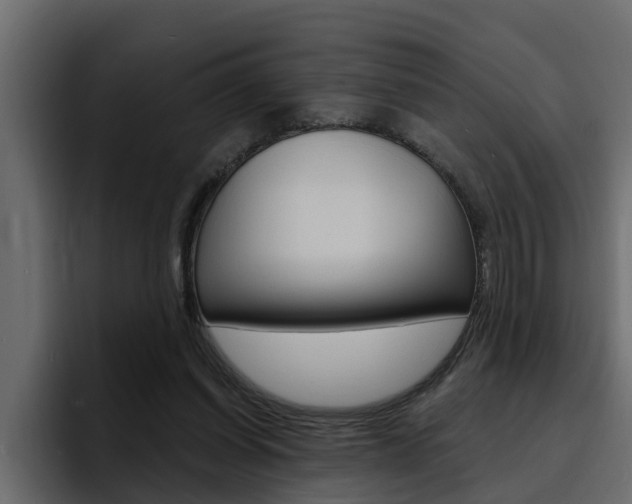 X0000095550254200712140941