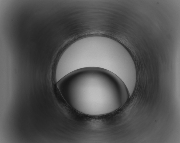 X0000095550256200712140941