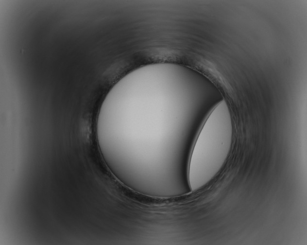 X0000095550259200712140941