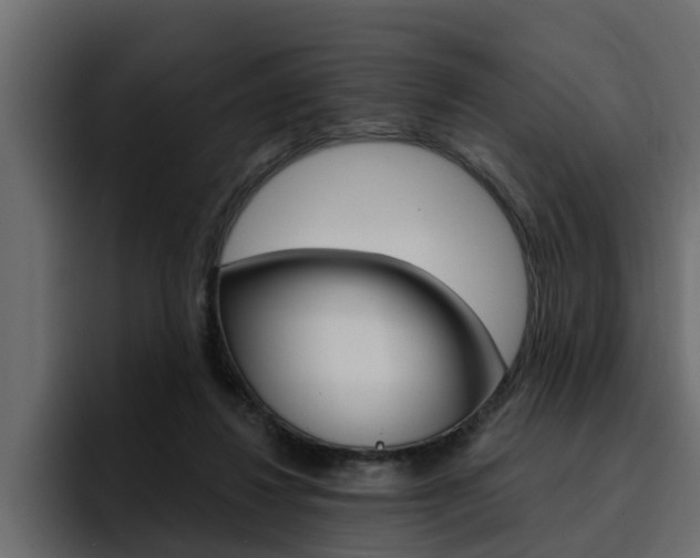 X0000095550260200712140941