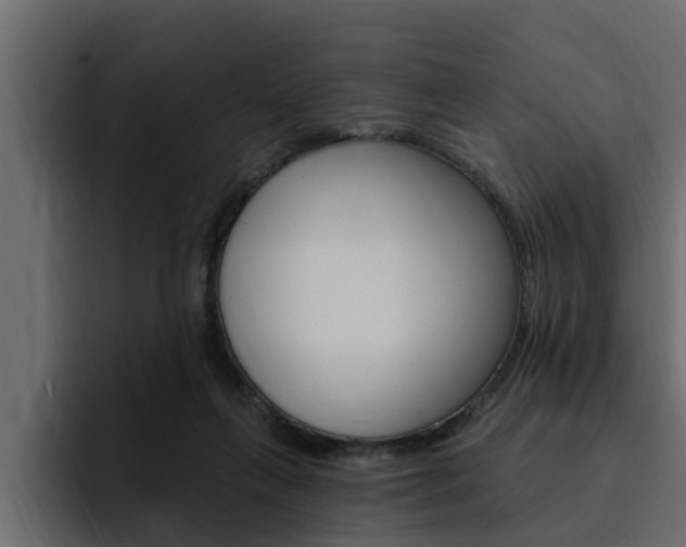 X0000095550263200712140941