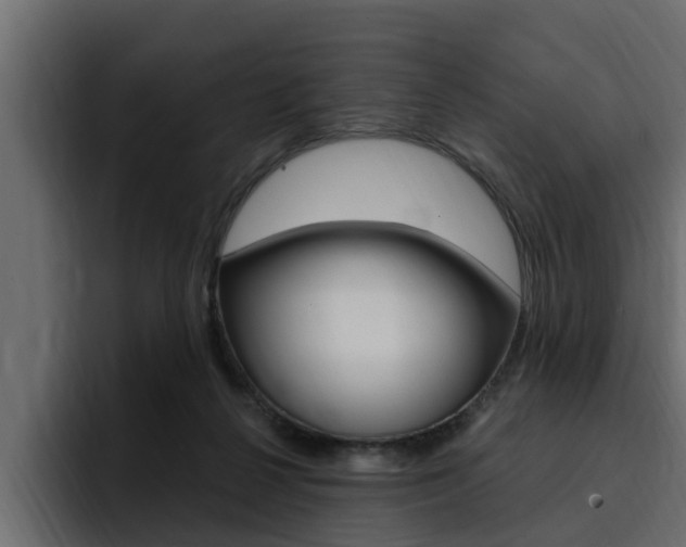 X0000095550264200712140941