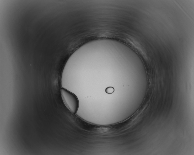 X0000095550265200712140941