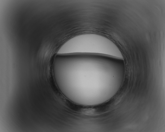 X0000095550266200712140941