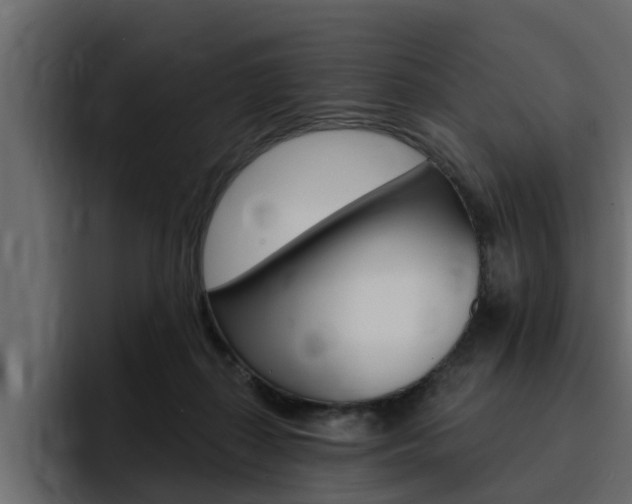 X0000095550267200712140941