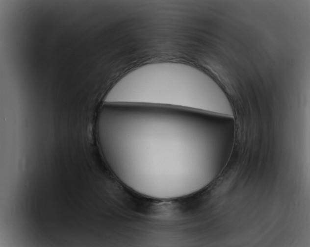 X0000095550269200712140941