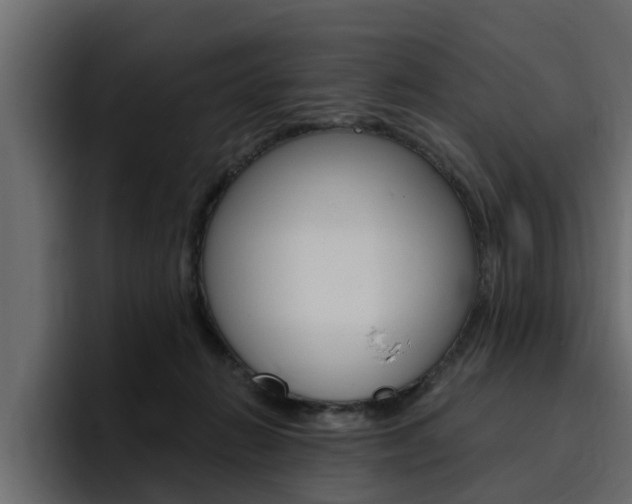 X0000095550270200712140941
