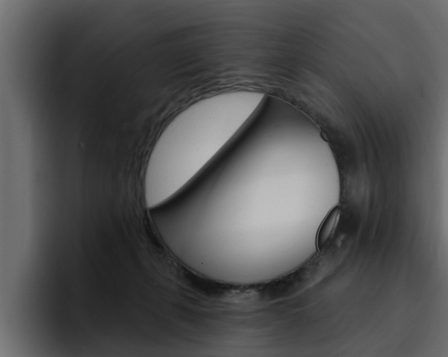 X0000095550271200712140941