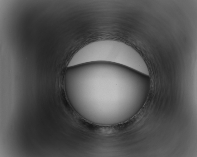 X0000095550272200712140941