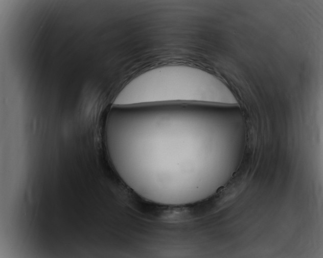 X0000095550274200712140941