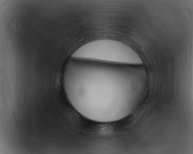X0000095550275200712140941