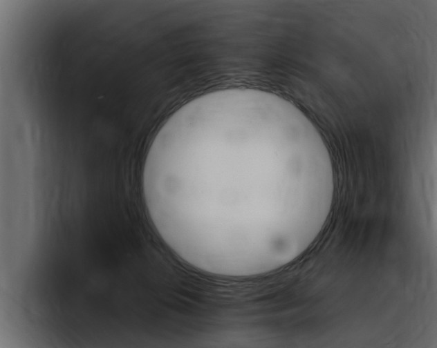 X0000095550276200712140941