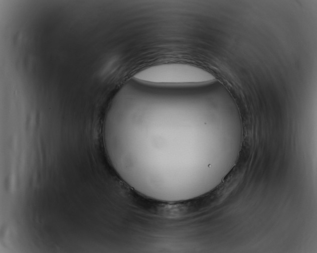X0000095550277200712140941