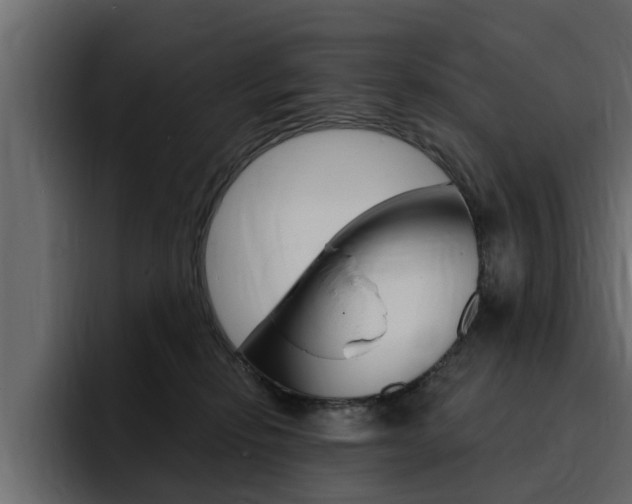 X0000095550278200712140941
