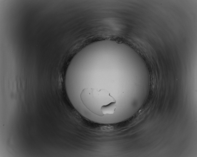 X0000095550279200712140941