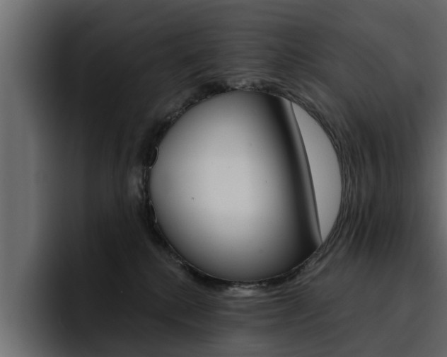 X0000095550280200712140941