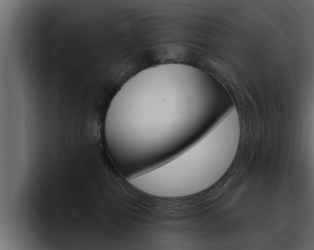 X0000095550282200712140941