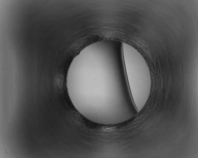X0000095550283200712140941