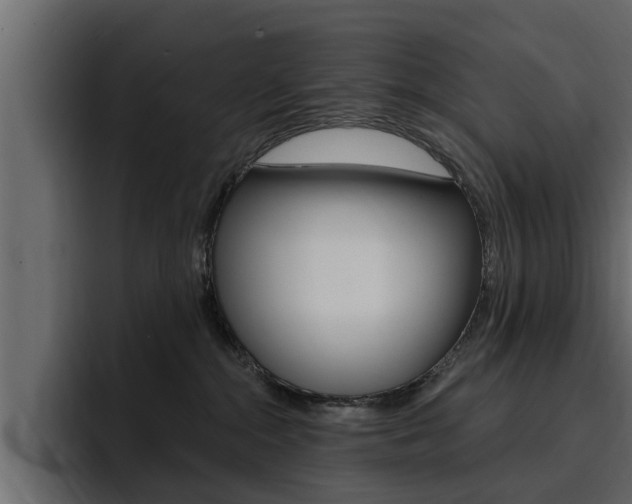 X0000095550284200712140941
