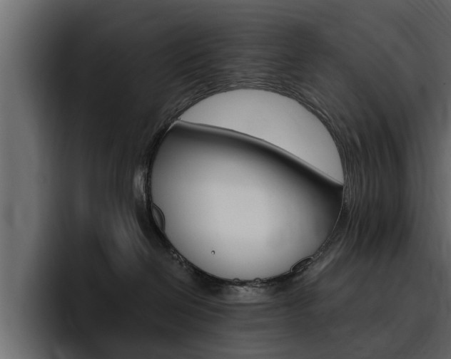 X0000095550286200712140941