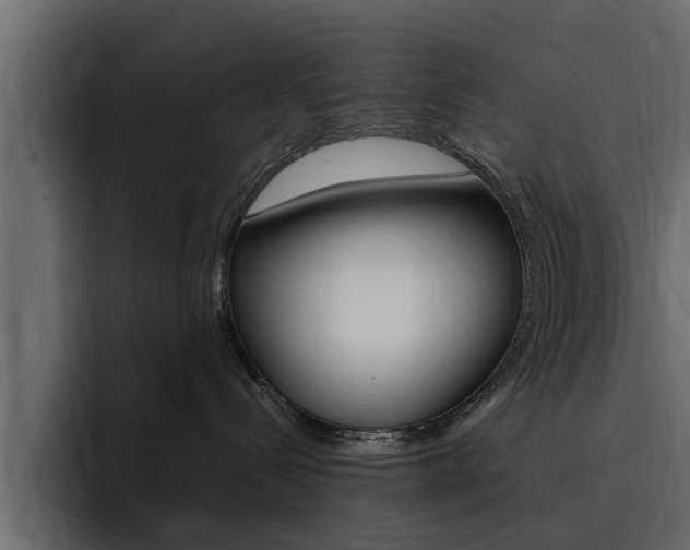 X0000095550288200712140941