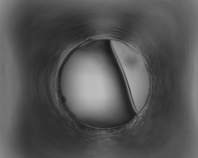 X0000095550289200712140941