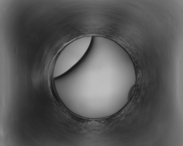 X0000095550290200712140941