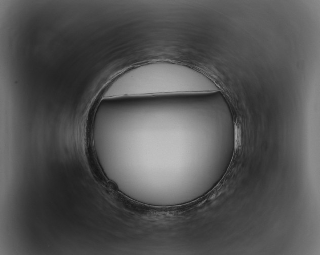 X0000095550291200712140941