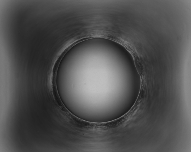X0000095550292200712140941