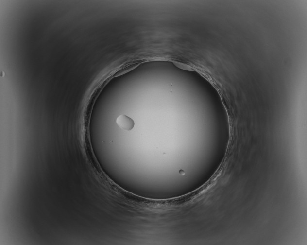 X0000095550293200712140941