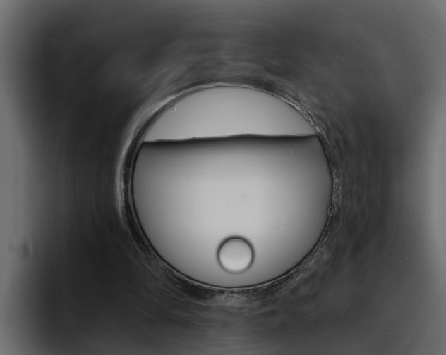 X0000095550294200712140941