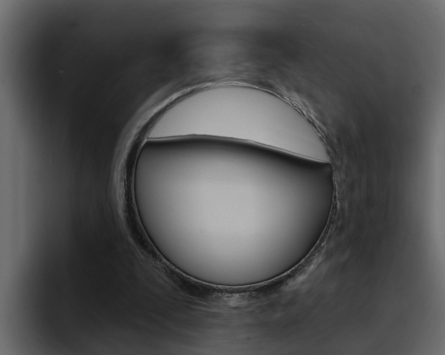 X0000095550295200712140941