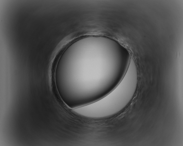 X0000095550296200712140941