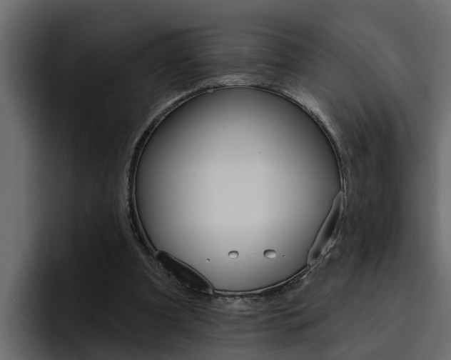 X0000095550297200712140941