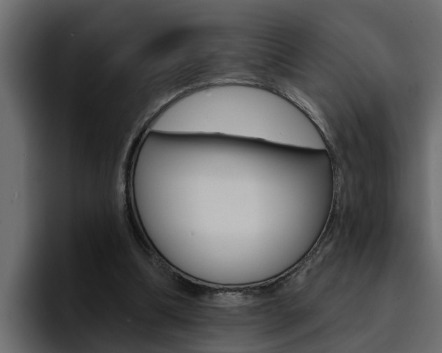 X0000095550298200712140941