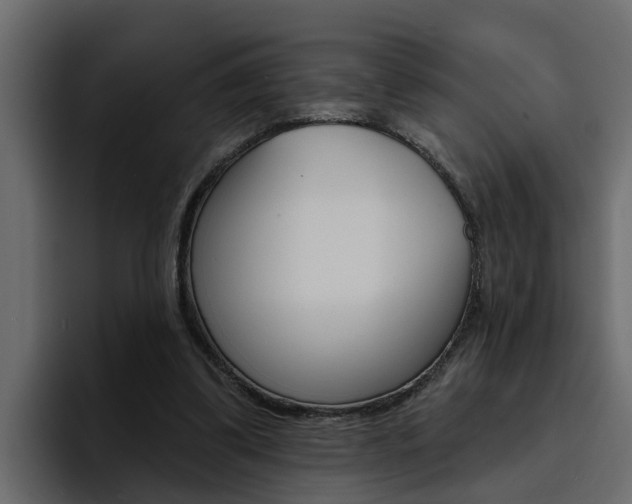 X0000095550299200712140941