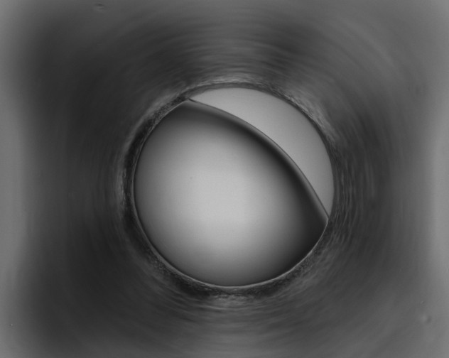 X0000095550300200712140941