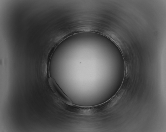 X0000095550301200712140941