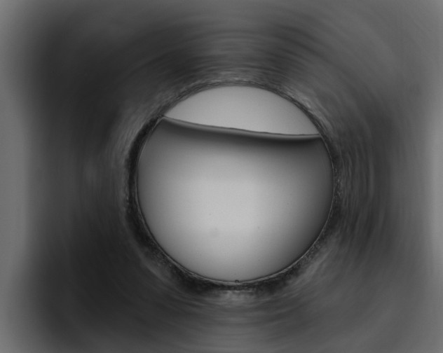 X0000095550303200712140941