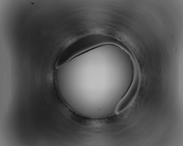 X0000095550305200712140941