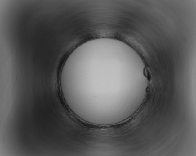 X0000095550306200712140941