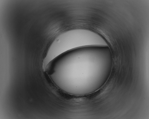 X0000095550307200712140941