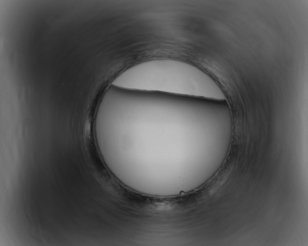 X0000095550310200712140941