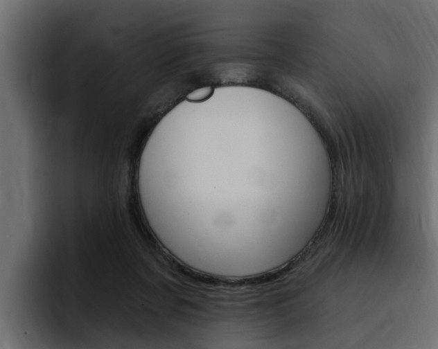 X0000095550311200712140941