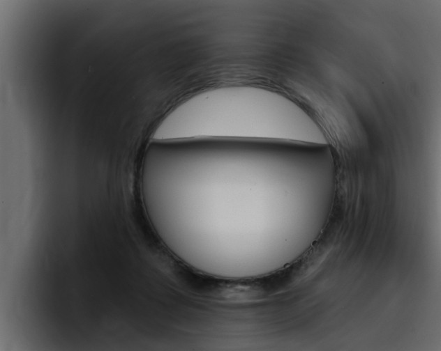 X0000095550315200712140940
