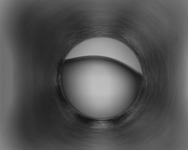 X0000095550316200712140940