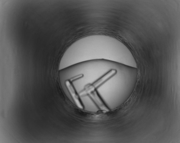 X0000095550323200712140940