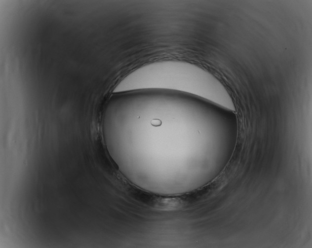 X0000095550324200712140940