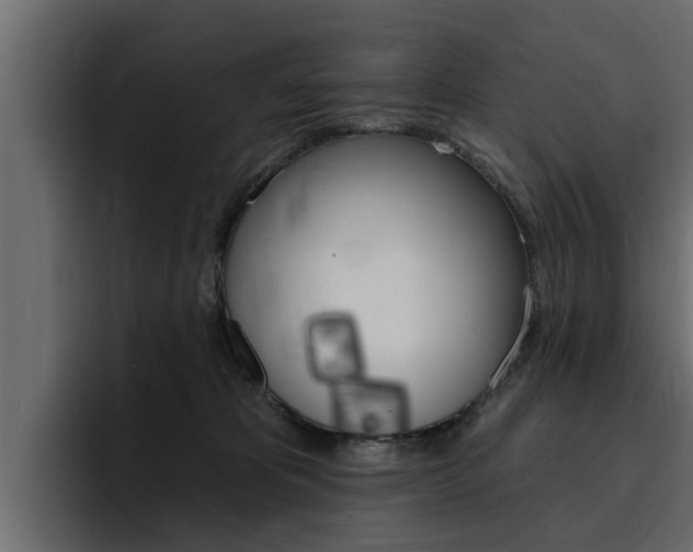 X0000095550325200712140940